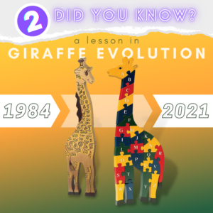 The Evolution of Giraffes